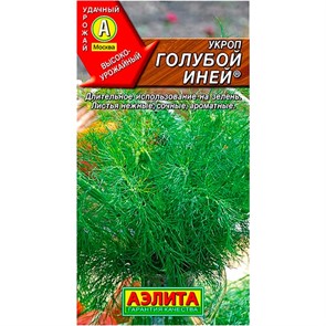 Укроп Голубой иней