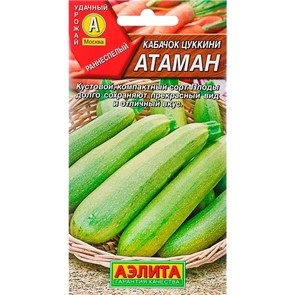 Кабачок Цуккини Атаман