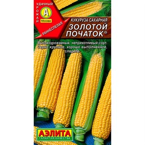 Кукуруза Сахарная Золотой початок