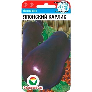Баклажан Японский карлик 20шт