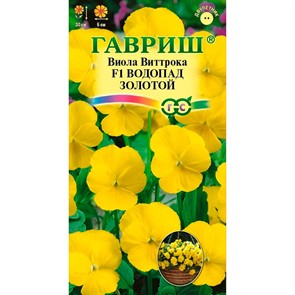 Виола Виттрока Водопад золотой 5шт
