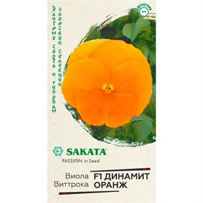 Виола Виттрока Динамит Оранж 5шт