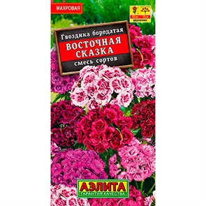 Гвоздика турецкая Восточная сказка