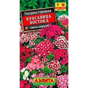 Гвоздика турецкая Красавица востока