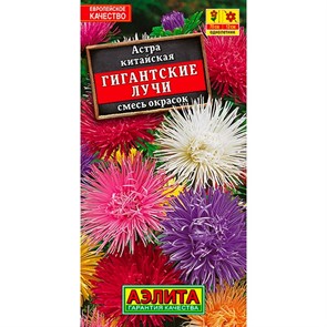 Астра Гигантские лучи смесь