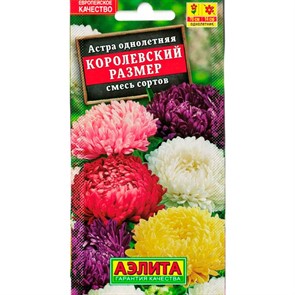 Астра Королевский размер смесь