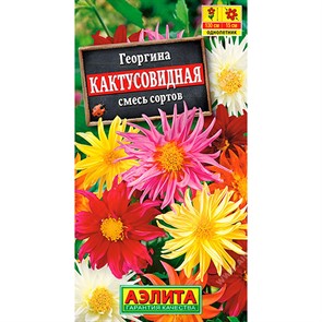 Георгина Кактусовидная смесь