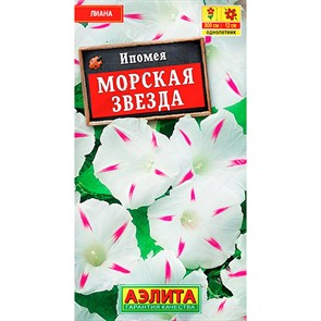Ипомея Морская звезда