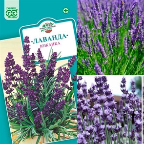 Лаванда Южанка 0,2г