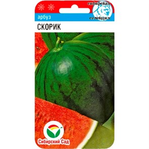 Арбуз Скорик 5шт