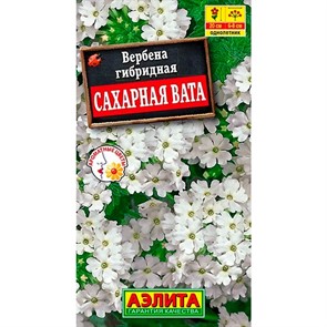 Вербена Сахарная вата