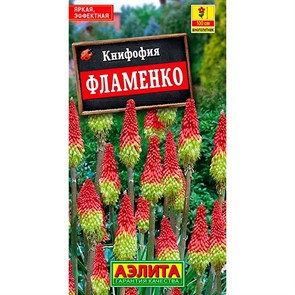 Книфофия ягодная Фламенко