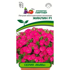 Петуния Мими F1 Жаклин 5шт