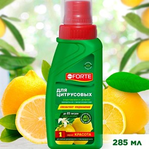 Удобрение БОНА ФОРТЕ для цитрусовых 285мл красота
