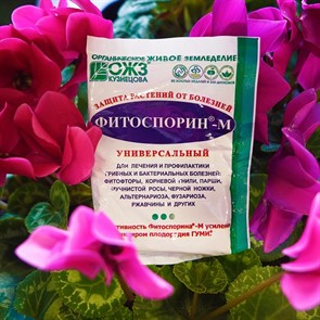 {{productViewItem.photos[photoViewList.activeNavIndex].Alt || productViewItem.photos[photoViewList.activeNavIndex].Description || 'Фитоспорин-М порошок 30г защита растений от болезней'}}