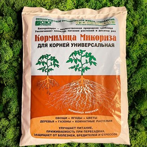 {{productViewItem.photos[photoViewList.activeNavIndex].Alt || productViewItem.photos[photoViewList.activeNavIndex].Description || 'Кормилица Микориза для корней универсальная 30г'}}