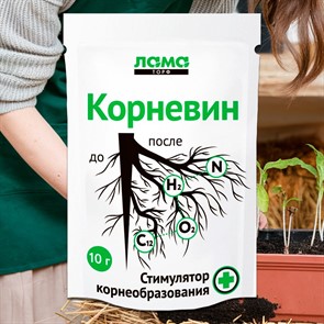 {{productViewItem.photos[photoViewList.activeNavIndex].Alt || productViewItem.photos[photoViewList.activeNavIndex].Description || 'Корневин 10г стимулятор роста и корнеобразования'}}