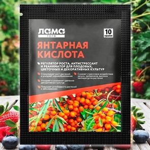 {{productViewItem.photos[photoViewList.activeNavIndex].Alt || productViewItem.photos[photoViewList.activeNavIndex].Description || 'Янтарная кислота 5г стимулятор регулятор роста'}}