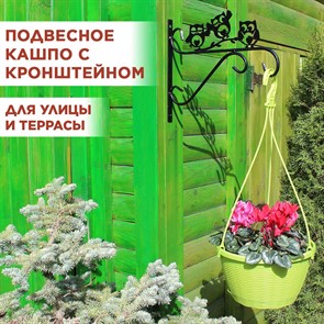 {{productViewItem.photos[photoViewList.activeNavIndex].Alt || productViewItem.photos[photoViewList.activeNavIndex].Description || 'Кашпо для цветов подвесное уличное 4,5л с металлическим кронштейном 201-009B'}}