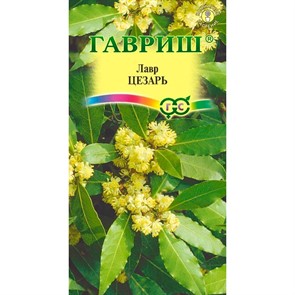 Лавр благородный Цезарь 3шт