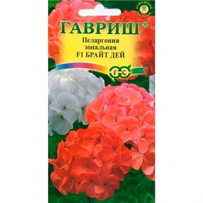 Пеларгония Брайт дей 4шт