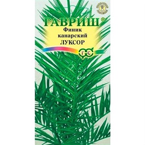 Финик канарский Луксор 2шт