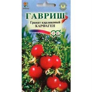 Гранат карликовый Карфаген 5 шт