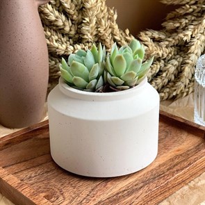 Кашпо Бидон мини 0,15л гипс