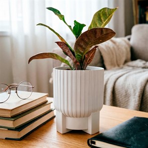 {{productViewItem.photos[photoViewList.activeNavIndex].Alt || productViewItem.photos[photoViewList.activeNavIndex].Description || 'Горшок Торин 3,3л белый с поддоном'}}