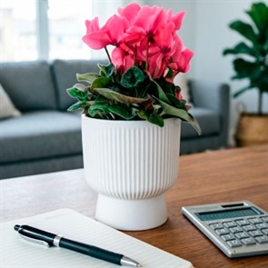 Горшок Бекер 2,8л белый с поддоном