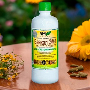 {{productViewItem.photos[photoViewList.activeNavIndex].Alt || productViewItem.photos[photoViewList.activeNavIndex].Description || 'Байкал ЭМ-1 0,5л микробиологическое удобрение'}}