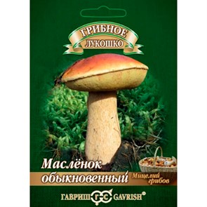Масленок на зерновом субстрате 15мл
