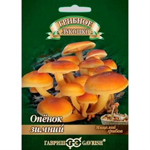 Опёнок зимний на древесной палочке 12шт