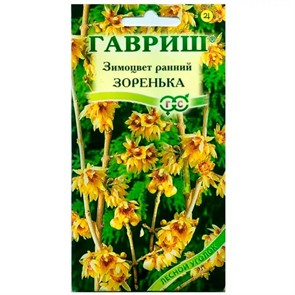 Зимоцвет ранний Зоренька 3шт