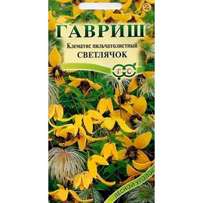 Клематис пильчатолистный Светлячок 0,05г