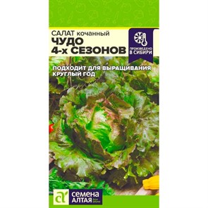Салат Чудо 4 сезонов 0,5г