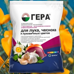 {{productViewItem.photos[photoViewList.activeNavIndex].Alt || productViewItem.photos[photoViewList.activeNavIndex].Description || 'Удобрение Гера комплексное для Лука, чеснока и луковичных цветов 0,9кг'}}