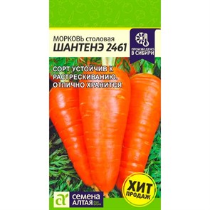 Морковь Шантенэ 2461 2г