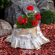 Кашпо декоративное Пень березовый для сада диаметр 65см U07446 - фото 10044