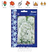 Флокс Белый - фото 10204