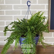 Горшок ЛИЛИЯ подвесная 4л дымчатый синий - фото 10270