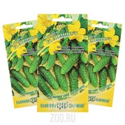 Огурец Лилипут 10шт - фото 10325