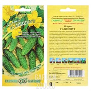 Огурец Лилипут 10шт - фото 10326