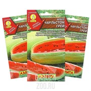 Арбуз Чарльстон Грей - фото 10494