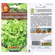 Салат Кучерявец Одесский полукочанный - фото 10536