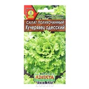 Салат Кучерявец Одесский полукочанный - фото 10537