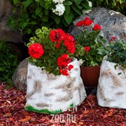 Кашпо Пень березовый малый - фото 10546