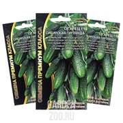 Огурец Сибирская гирлянда F1 - фото 10566