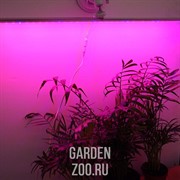 Фитосветильник Цветущий подоконник 7 Вт - фото 11109