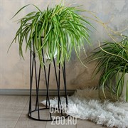 Подставка напольная на 1 цветок Лофт кованая высота 56см 66-406 - фото 11223